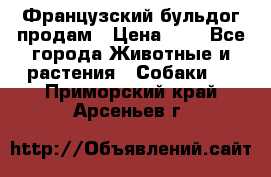 Французский бульдог продам › Цена ­ 1 - Все города Животные и растения » Собаки   . Приморский край,Арсеньев г.
